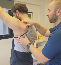 physio shoulder inspection